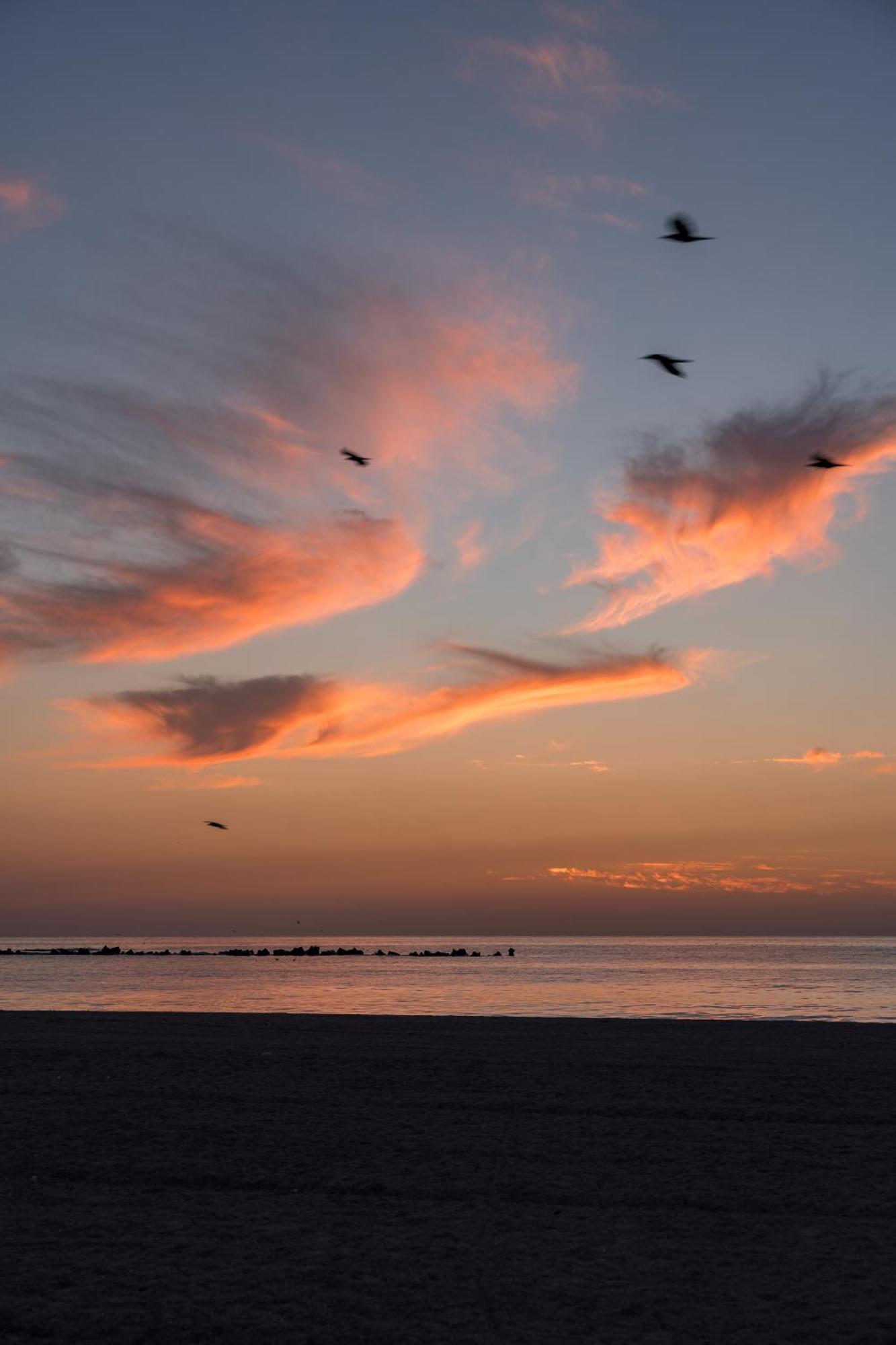 Riva Mamaia Beach Aparthotel المظهر الخارجي الصورة